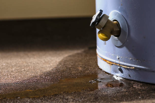 Best Flooded house restoration  in Oolitic, IN