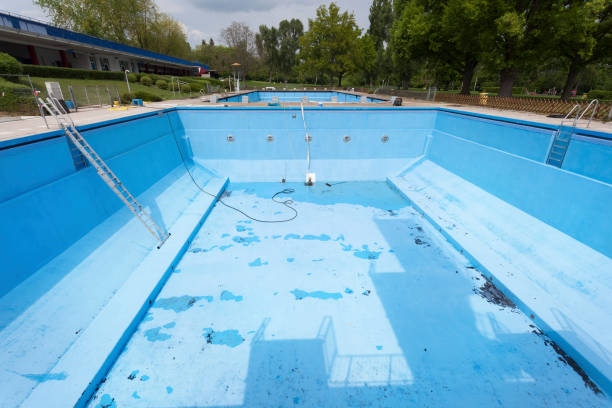 Best Mold removal after water damage  in Oolitic, IN