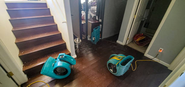 Best Water damage mitigation services  in Oolitic, IN
