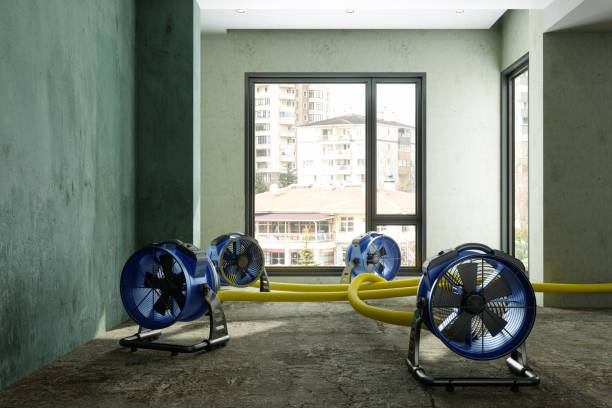 Best Flood restoration services  in Oolitic, IN