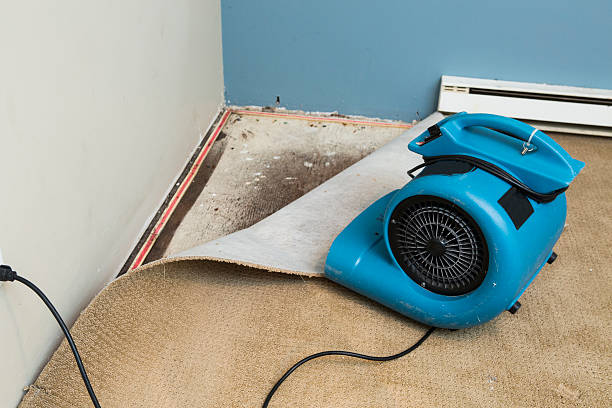 Best Water damage repair service  in Oolitic, IN